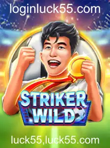 Explorando o Universo de StrikerWILD